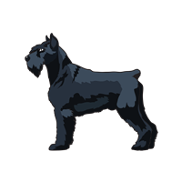 Schnauzer Sticker