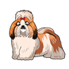 Shih Tzu Sticker