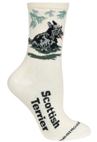 Wheel House Design Scottish Terrier on Natural Socks (Size 9-11)