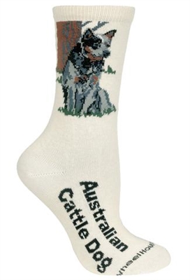 Wheel House Design Australian Cattle Dog on Natural Socks (9-11)