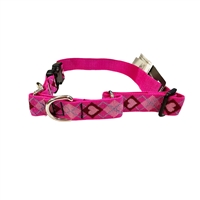 Lupine 1" Puppy Love 15-22" BUCKLE Martingale Training Collar