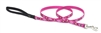 Lupine 1/2" Puppy Love 4' Padded Handle Leash