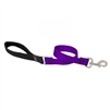 Lupine 1" Purple 2' Traffic Lead