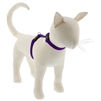 Lupine 1/2" Purple 9-14" H-Style Cat Harness