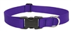 Lupine 1" Purple 12-20" Adjustable Collar