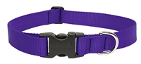 Lupine 1" Purple 12-20" Adjustable Collar