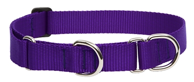 Lupine 1" Purple 15-22" Martingale Training Collar