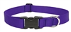 Lupine 1" Purple 16-28" Adjustable Collar