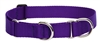 Lupine 1" Purple 19-27" Martingale Training Collar