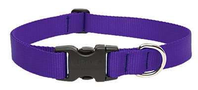 Lupine 1" Purple 25-31" Adjustable Collar