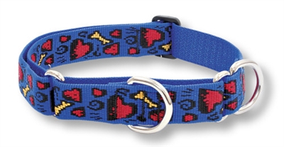 Retired Lupine 1" Doggie Dreams 19-27" Martingale Training Collar 