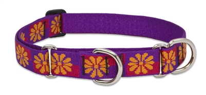 Retired Lupine 1" Flower Box 15-22" Martingale Training Collar 