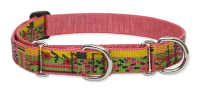 Retired Lupine 1" Flower Patch 15-22" Martingale Training Collar 