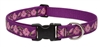 Lupine  1" Rose Garden 12-20" Adjustable Collar