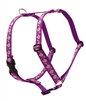 Lupine 1" Rose Garden 24-38" Roman Harness