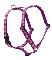 Lupine 1" Rose Garden 24-38" Roman Harness