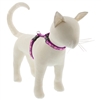 Lupine 1/2" Rose Garden 9-14" H-Style Cat Harness