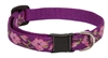 Lupine 1/2" Rose Garden Cat Safety Collar