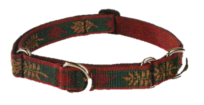 Retired Lupine 3/4" Northwoods 10-14" Martingale Training Collar 