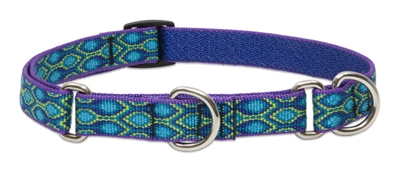 Lupine 3/4" Rain Song 10-14" Martingale Training Collar