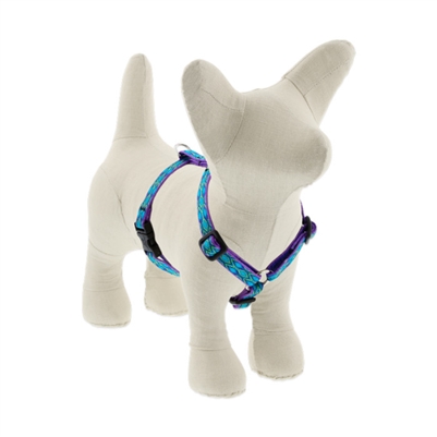 Lupine 1/2" Rain Song 12-20" Roman Harness