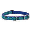 Lupine 3/4" Rain Song Martingale Training Collar