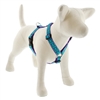 Lupine 1" Rain Song Roman Harness