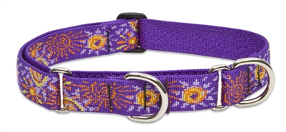 Retired Lupine 1" Sunny Days 19-27" Martingale Training Collar