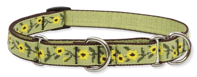 Retired Lupine 3/4" Suzie Q 10-14" Martingale Training Collar 