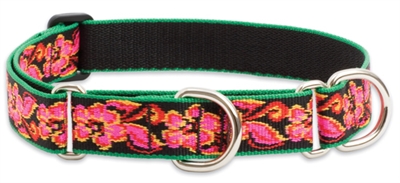 Retired Lupine 1" Tropicana 15-22" Martingale Training Collar