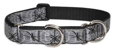 Retired Lupine 1" Web Master 15-22" Martingale Training Collar