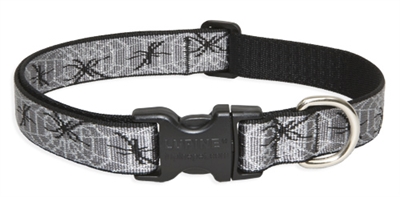 Retired Lupine 1" Web Master 16-28" Adjustable Collar