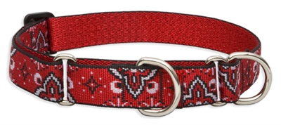 Retired Lupine 1" Wild West 15-22" Martingale Training Collar 