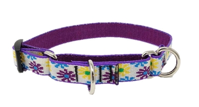 Lupine 3/4" Sample Daisies on White 10-14" Martingale Training Collar  