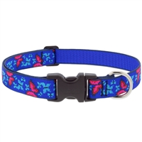 Lupine 1" Social Butterfly 12-20" Adjustable Collar