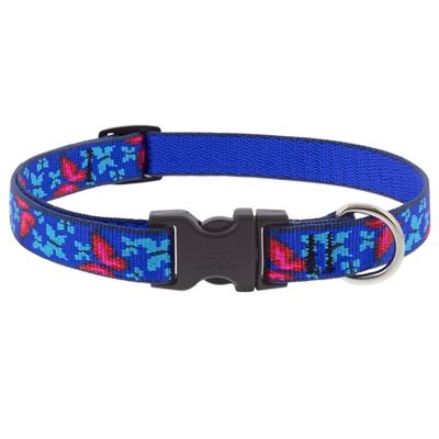 Lupine 3/4" Social Butterfly 13-22" Adjustable Collar
