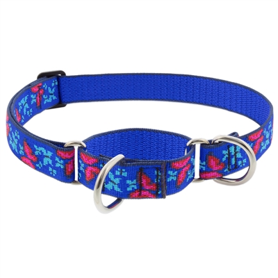 Lupine 1" Social Butterfly 19-27" Martingale Training Collar