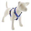 Lupine 1" Social Butterfly Roman Harness