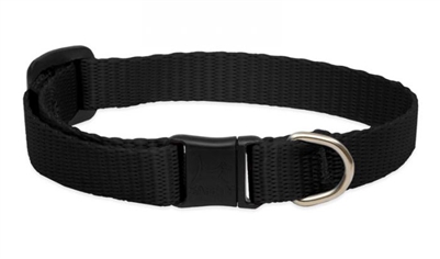 Lupine 1/2" Black Safety Cat Collar