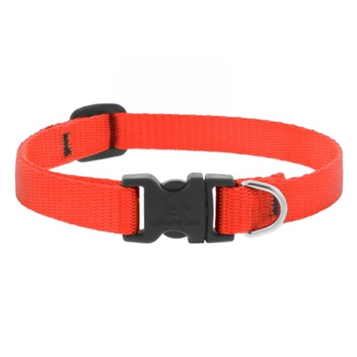 Lupine 1/2" Blaze Orange 10-16" Adjustable Collar
