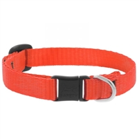 Lupine 1/2" Blaze Orange Safety Cat Collar