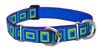 Lupine 1" Sea Glass 19-27" Martingale Training Collar