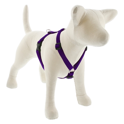 Lupine 3/4" Purple 12-20" Roman Harness