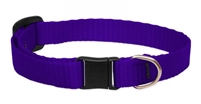 Lupine 1/2" Purple Cat Safety Collar