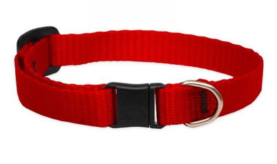 Lupine 1/2" Red Cat Safety Collar