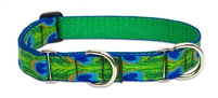 Lupine 1" Tail Feathers 15-22" Martingale Training Collar