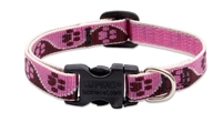 Retired Lupine 1/2" Tickled Pink 6-9" Adjustable Collar