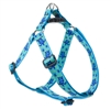 Lupine 1" Turtle Reef 24-38" Step-in Harness
