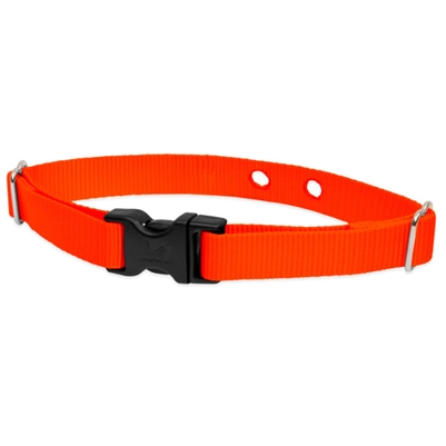 Lupine 3/4" Blaze Orange Dog Watch Collar Size 19-31