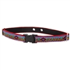 Lupine 3/4" El Paso 2 Hole Dog Watch Collar Size 16-24"